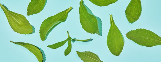 Stevia vs. Sugar: The Ultimate Guide to Stevia Leaf Extract - OLIPOP